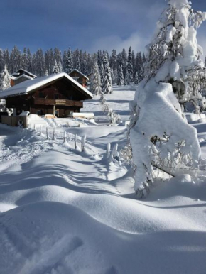 Marktlhütte